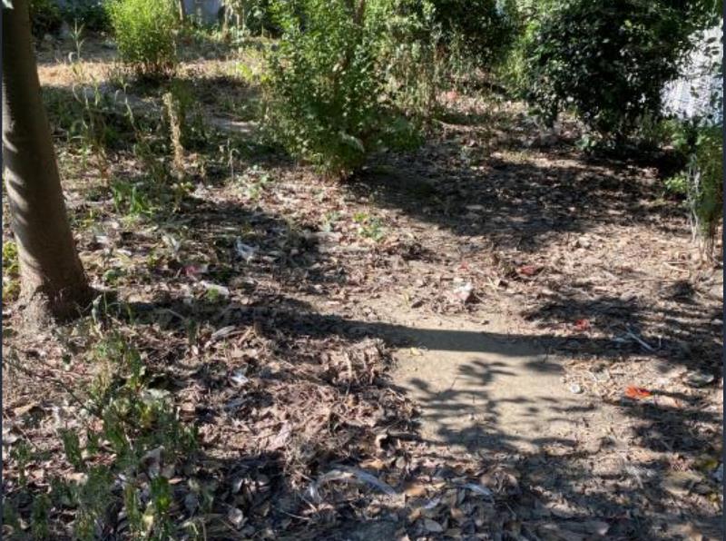 圖片8.jpg 圖片8.jpg