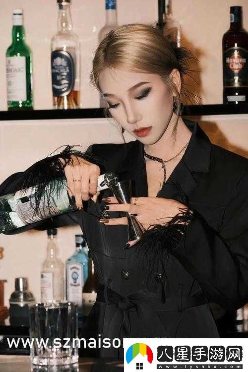 混亂小鎮公交車(chē)售票員用B售票