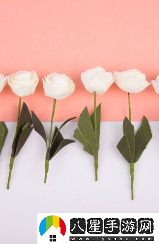 7086歡迎到此一游必備版